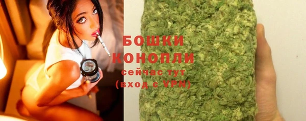 сатива Богородск