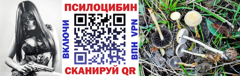 цена наркотик Кадников MEGA tor Галлюциногенные грибы ЛСД